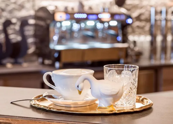 酒店 甘丝莱特酒店 瑟尔