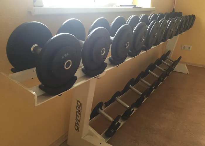 מלון Gaensleit 3*